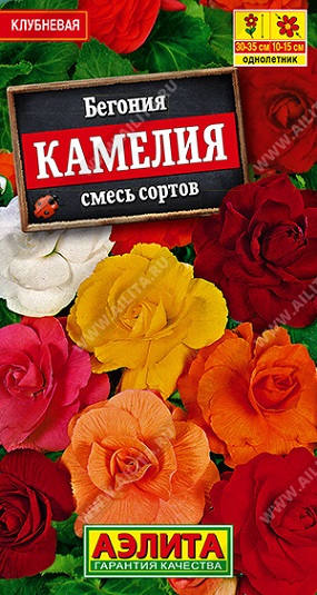 Цветы Бегония Камелия, смесь крупноцветковая 10 шт ц/п Аэлита (комн.)