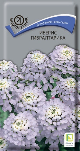 Цветы Иберис Гиблартарика 0,1 г ц/п Поиск (мног.)