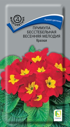 Цветы Примула Весенняя мелодия Красная 10 шт ц/п Поиск (мног.)