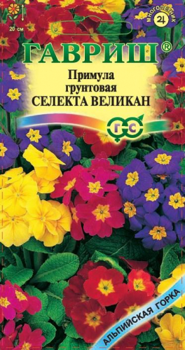 Цветы Примула Селекта Великан, смесь 10 шт ц/п Гавриш (мног.)