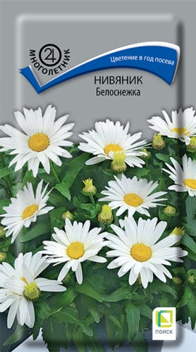 Цветы Нивяник Белоснежка 0,05 г ц/п Поиск (мног.) высота 25 см