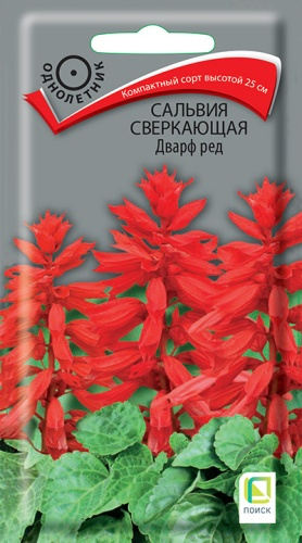 Цветы Сальвия Дварф Ред 0,1 г ц/п Поиск (высота 25 см) (однол.)