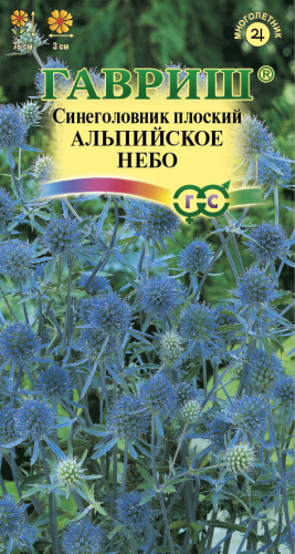 Цветы Синеголовник Альпийское небо 0,05 г ц/п Гавриш (мног.)