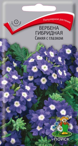 Цветы Вербена Синяя с глазком 0,1 г ц/п Поиск (высота 30 см) (однол.)