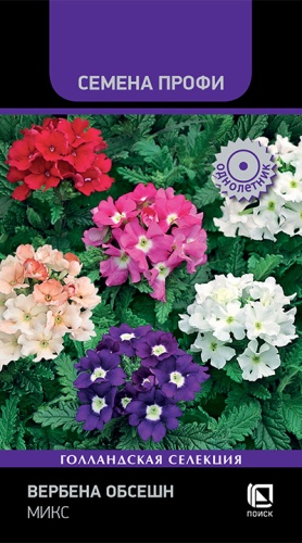 Цветы Вербена Обсешн Микс 10 шт ц/п Поиск (однол.)