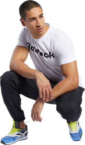 Футболка мужская GS Reebok Linear Read Tee