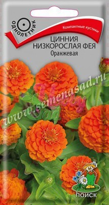 Цветы Цинния Фея Оранжевая низкорослая (0,1 г) Поиск