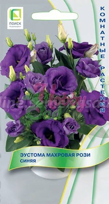 Цветы Эустома Рози Синяя махровая (5 шт) Поиск Комнатные
