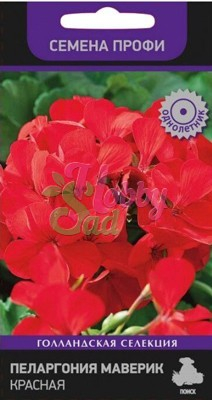 Цветы Пеларгония Маверик Красная зональная (5 шт) Поиск Семена профи