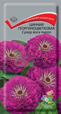 Цветы Цинния Супер Йога Парпл георгиноцветковая (0,4 г) Поиск