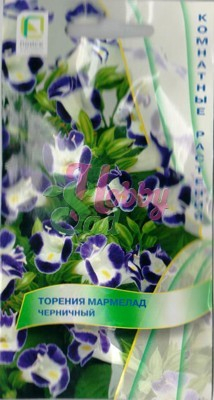 Цветы Торения Мармелад Черничный (5 шт) Поиск Комнатные