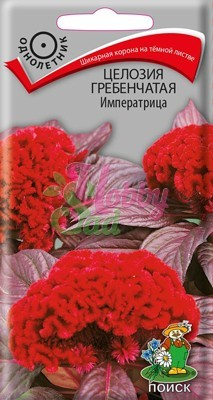 Цветы Целозия Императрица гребенчатая (0,1 г) Поиск
