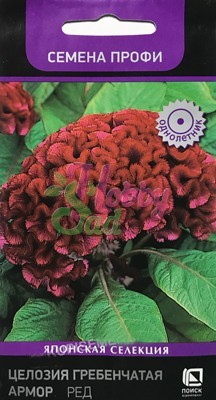 Цветы Целозия Армор Ред гребенчатая (15 шт) Поиск Семена профи