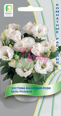 Цветы Эустома Рози Бело-Розовая махровая (5 шт) Поиск Комнатные