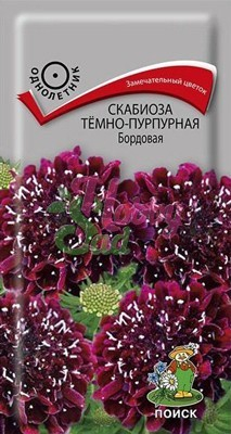 Цветы Скабиоза тёмно-пурпурная Бордовая (0,2 гр) Поиск