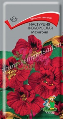 Цветы Настурция Махагони (1 г) Поиск