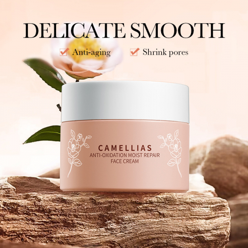 Антиоксидантный восстанавливающий крем для лица с экстрактом камелии BIOAOUA Camellias Anti-oxydation mist repair face cream, 50 гр