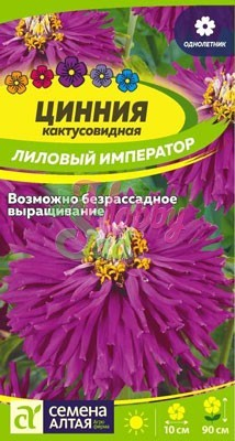 Цветы Цинния Лиловый Император кактусовидная  (0,2 г) Семена Алтая