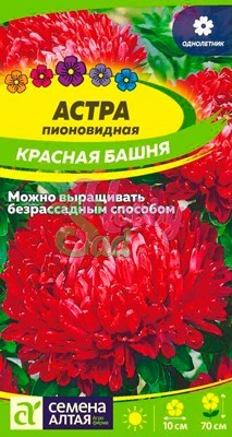Цветы Астра Красная Башня пионовидная (0,2 гр) Семена Алтая