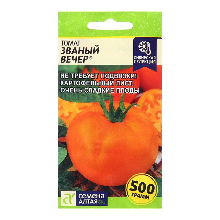 томат званый вечер фото. семена томата званый вечер. семена томата званый вечер. сорт помидор званый вечер. томат штамбовый оранжевый.