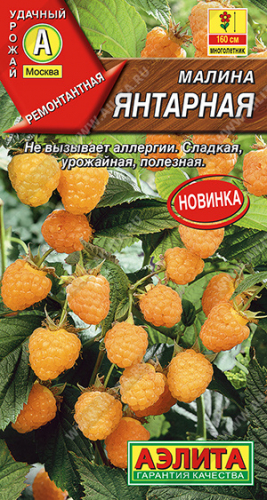Малина Янтарная