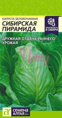 Капуста Сибирская Пирамида б/к (0,5 гр) Семена Алтая
