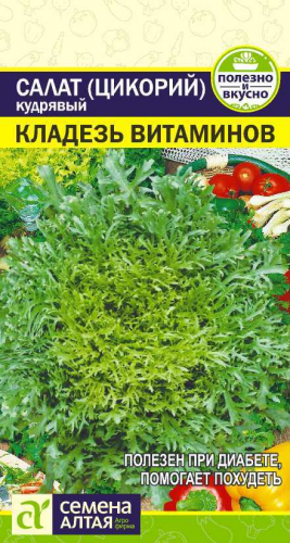 Салат Эндивий Кладезь Витаминов (0,5 гр) Семена Алтая