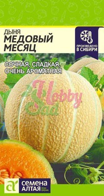 Дыня Медовый Месяц (1 гр) Семена Алтая