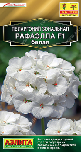Пеларгония Рафаэлла F1 белая
