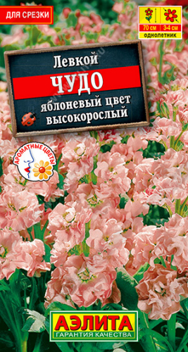 Левкой высокорослый Чудо яблоневый цвет