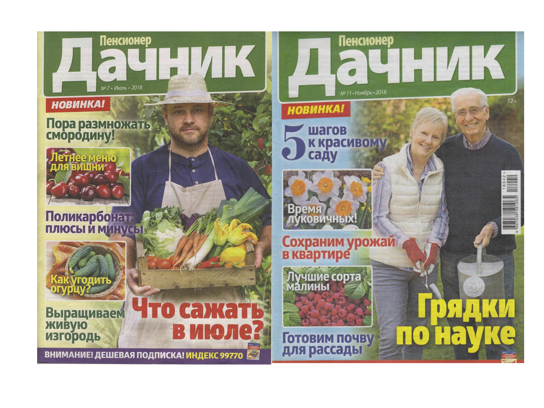 пенсионер дачник. журнал дачник. дачники пенсионеры. пенсионер дачник. пенсионер дачник.