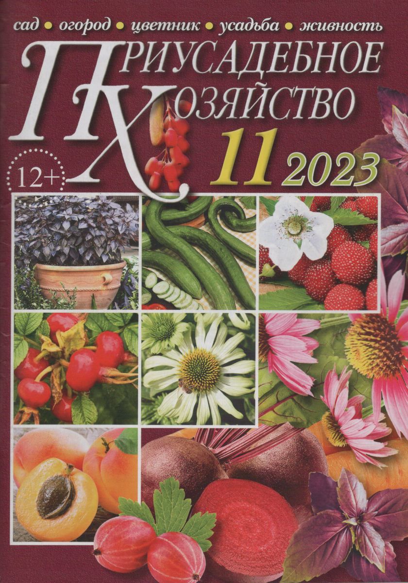 Журнал приусадебное хозяйство читать 2025