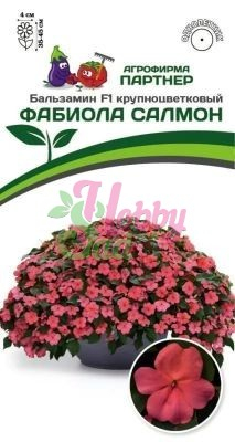 Цветы Бальзамин Уоллера ФАБИОЛА САЛМОН F1 крупноцветковый (5 шт) Партнер НОВИНКА 2024