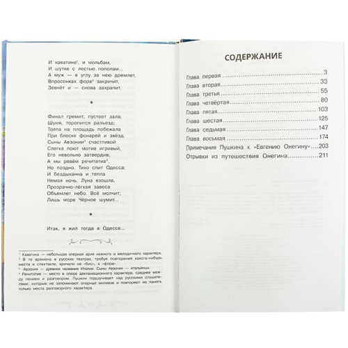 Книга Умка 9785506083184 Евгений Онегин. Пушкин А.С. Библиотека классики в Нижнем Новгороде