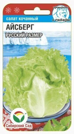 Салат Айсберг Русский размер 0,5гр (Сиб сад)