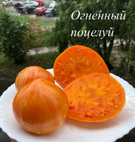 Огненный поцелуй