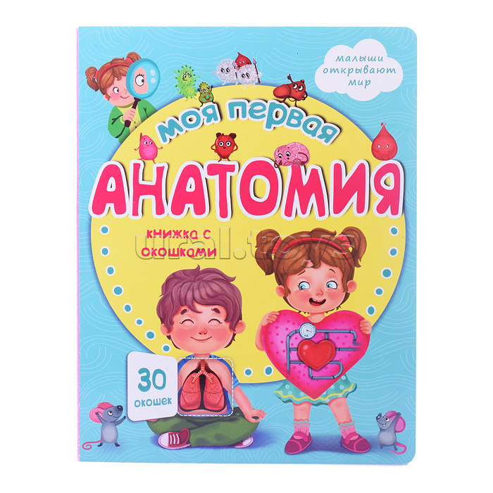 Книжка с окошками