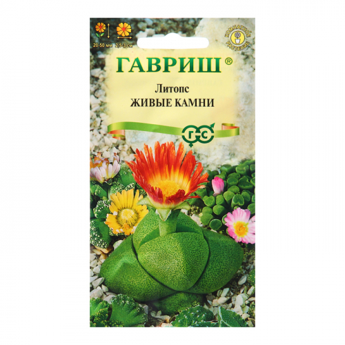 Семена Литопс 