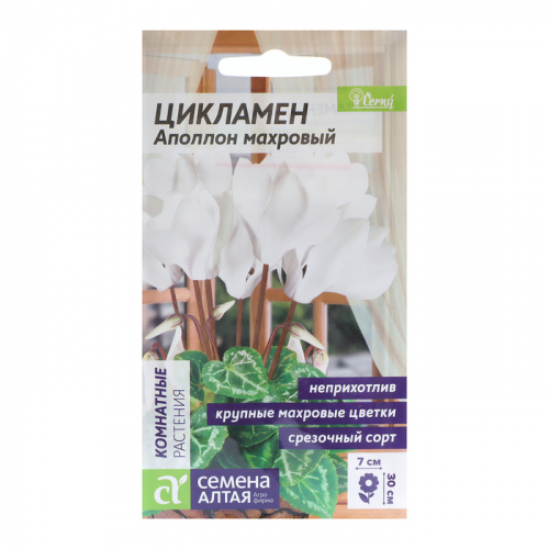 Семена комнатных цветов Цикламен 