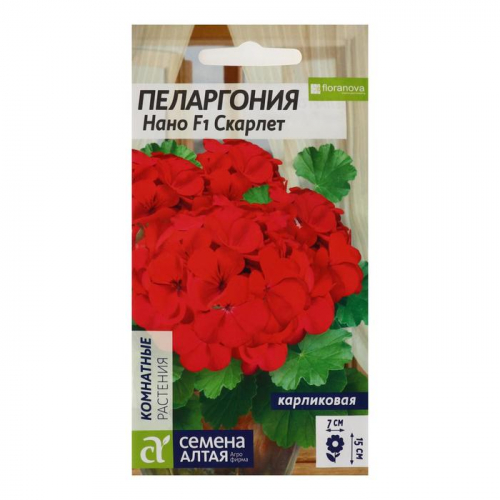 Семена цветов Пеларгония 