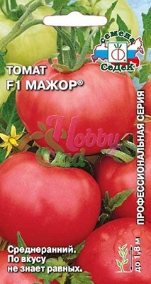 Томат Мажор F1 (0,05 г) Седек