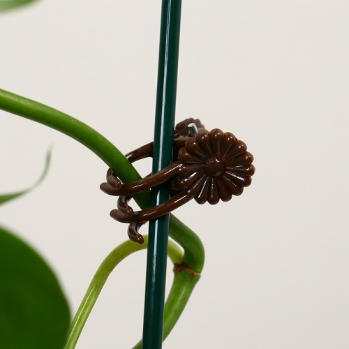 Клипса для растений «Цветы», набор 10., коричневая