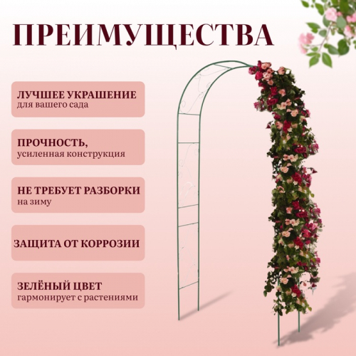 Арка садовая, 240 × 120 × 36 см, для вьющихся растений, металлическая, зелёная, «Вьюнок»