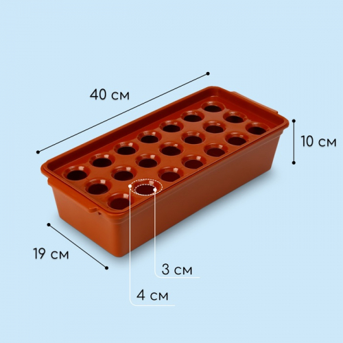 Ящик для выращивания зелёного лука, 40 × 19 × 10 см, 21 лунка, пластик, красный