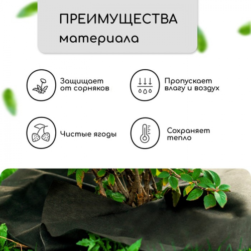 Круг приствольный, d = 1 м, плотность 60 г/м², спанбонд с УФ-стабилизатором,  2 шт., чёрный, Greengo, Эконом 20%