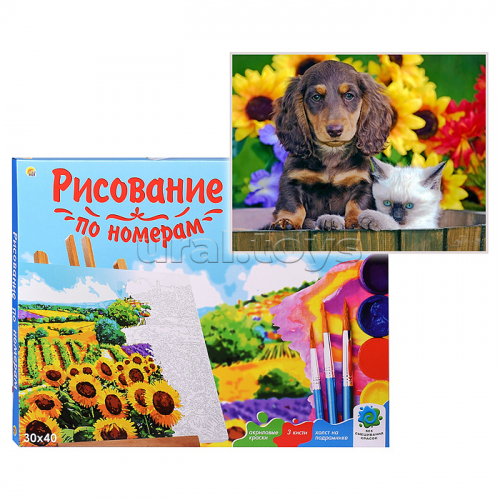 Холст с красками 30х40 по номерам 