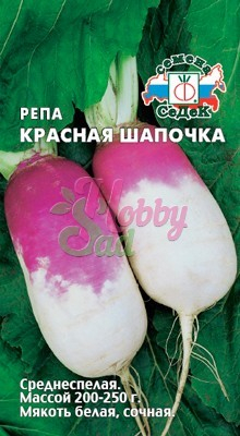 Репа Красная шапочка (1 г) Седек