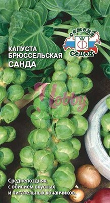 Капуста Санда брюссельская (0,3 г) Седек