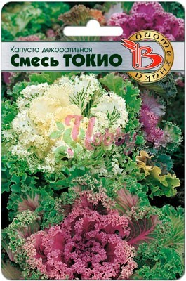 Цветы Капуста декоративная Смесь Токио (50 шт) Биотехника