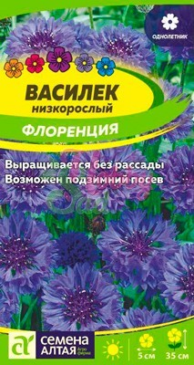 Цветы Василек Флоренция низкорослый (0,2 г) Семена Алтая